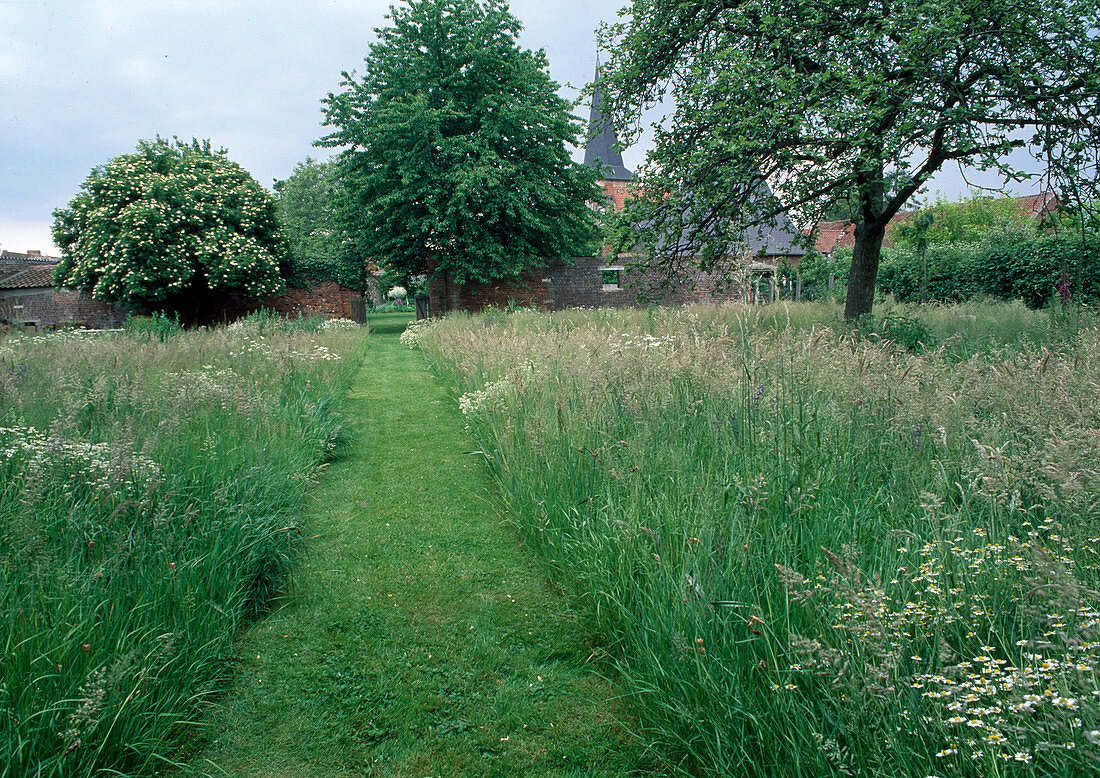 Weg im Garten