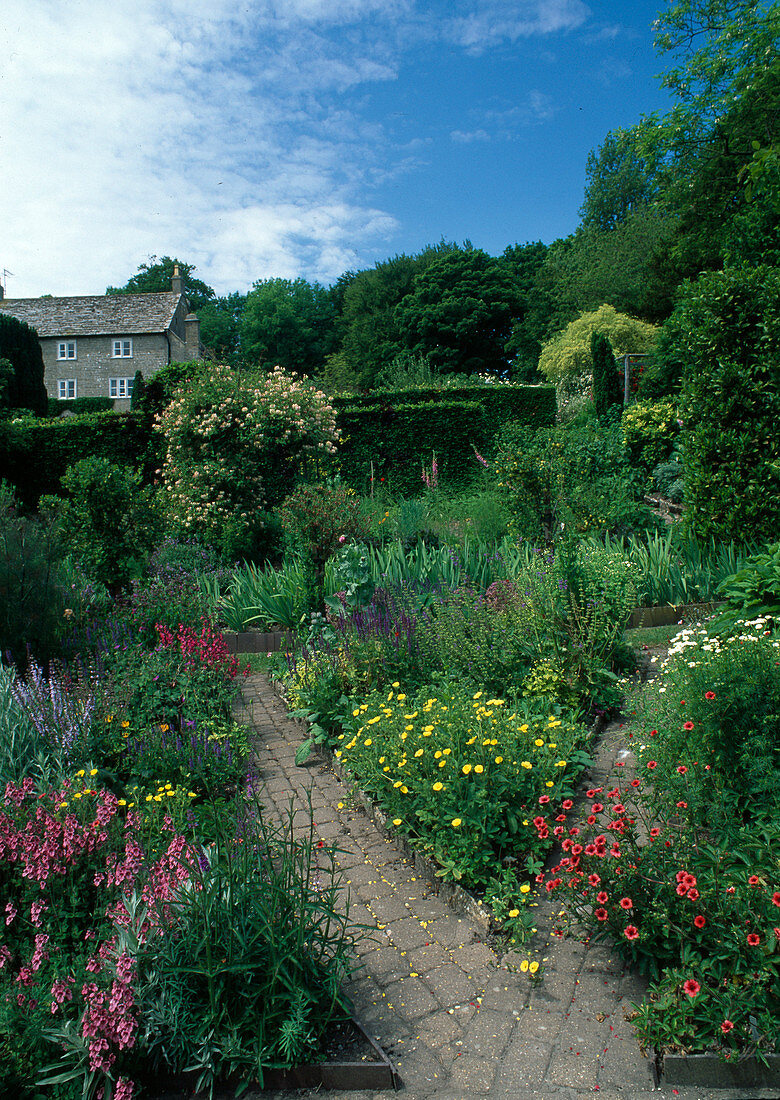 Garden view