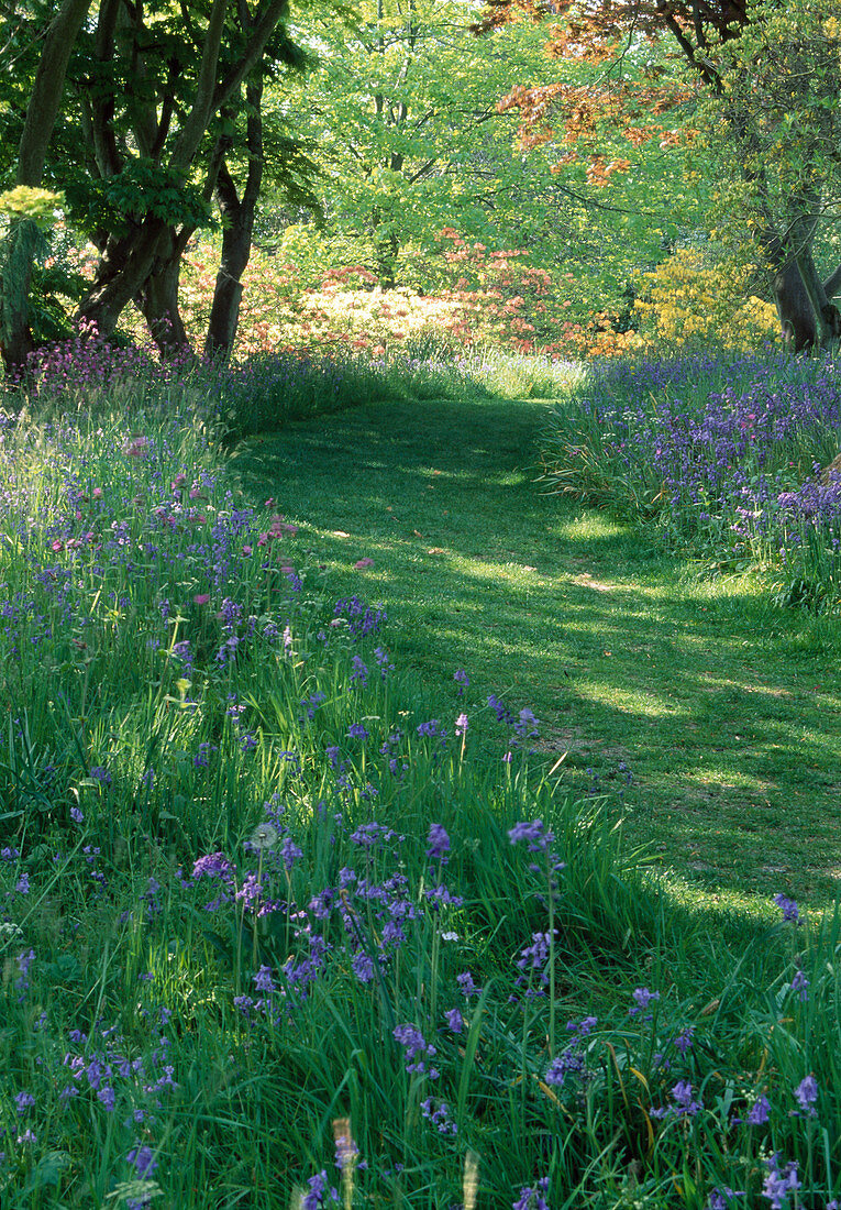 Weg im Garten