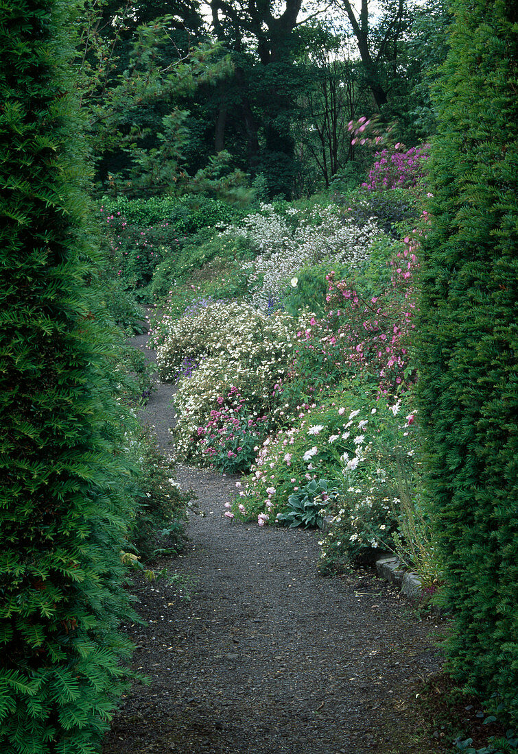 Weg im Garten