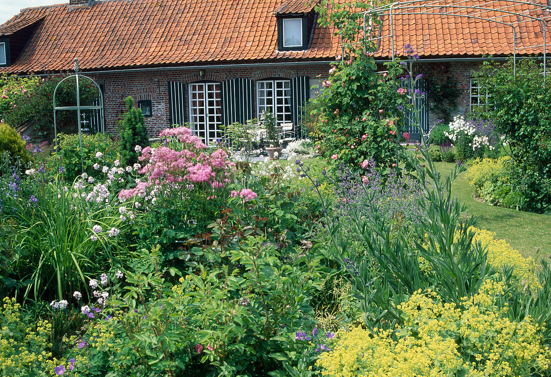 Pink and white perennial bed with a view of the country house - Thalictrum (meadow rue), Hesperis matronalis 'Alba' (white night violet), Alchemilla (lady's mantle), Rosa (roses), climbing roses on the rose archway