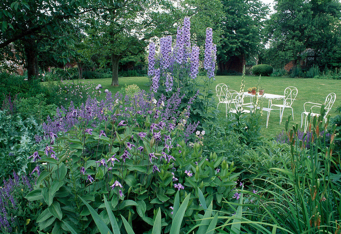 Blaues Beet mit Clematis integrifolia (Stauden-Waldrebe), Delphinium (Rittersporn) und Nepeta (Katzenminze), Sitzgruppe auf dem Rasen