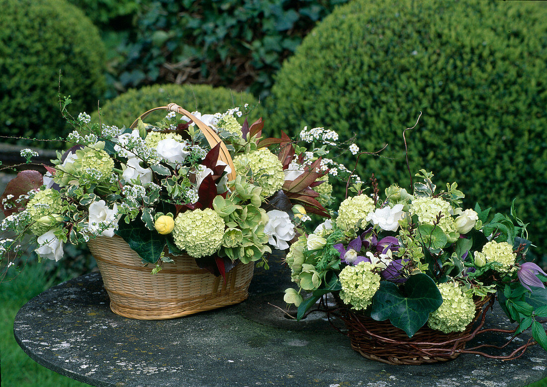 Arrangements of Viburnum (snowball), Spiraea (spirea), Helleborus (lentil rose), Hedera (ivy), Eustoma (prairie gentian), Clematis (woodland vine) and twigs