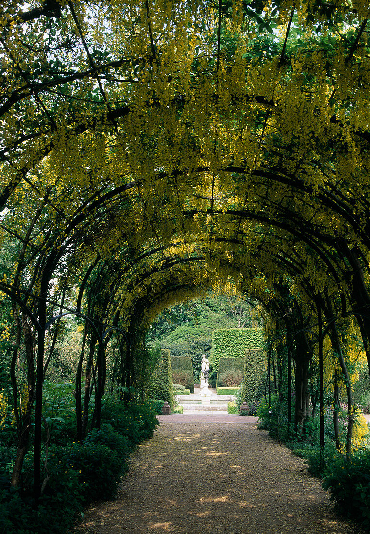 Kiesweg unter Laburnum (Goldregen), Blick auf Figur