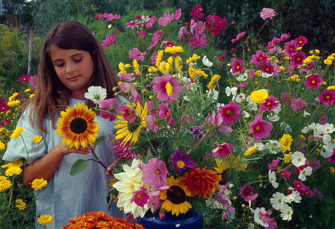 Girl picking summer flowers for bouquets