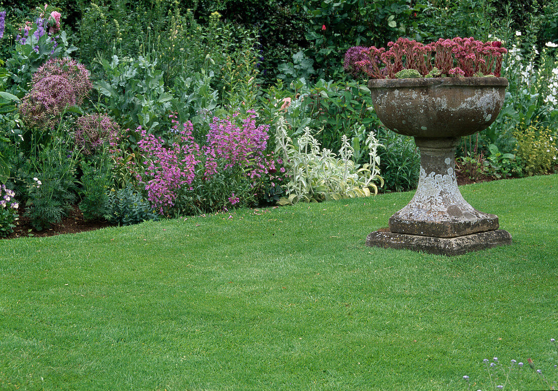 Stone bowl with flowering houseleek on manicured lawn in front of flower bed