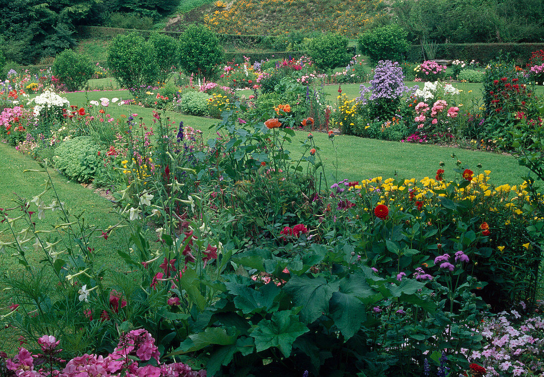 Colourful beds of perennials and summer flowers separate lawns: Nicotiana (ornamental tobacco), Oenothera (evening primrose), Phlox (flame flowers), Dahlia (dahlias) and many more