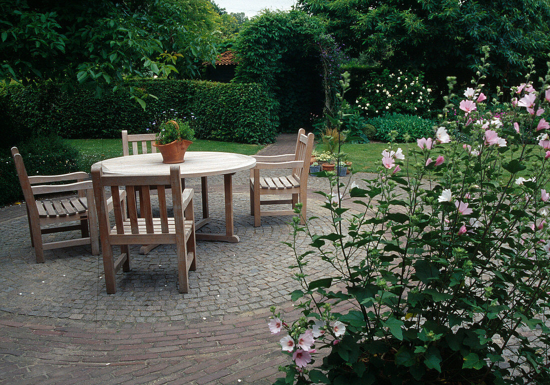 Round terrace with wooden seating area, Lavatera thuringiaca 'Barnsley' (bush mallow)