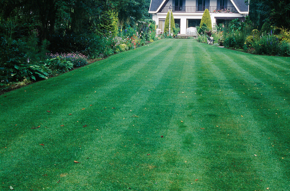 Lawn mown in strips