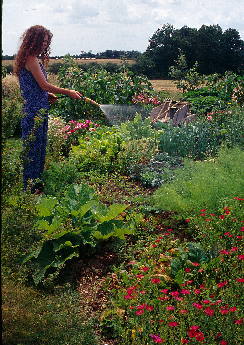 Woman watering vegetables in a cottage garden
