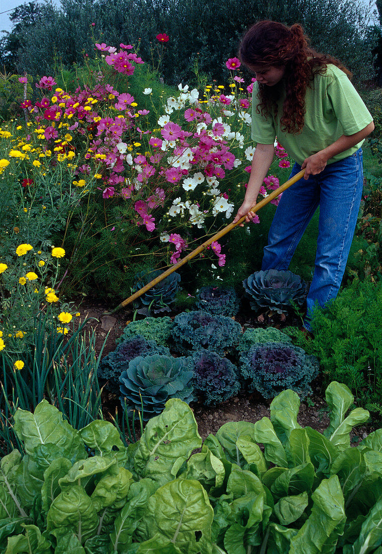 Loosening soil between summer flowers and vegetables