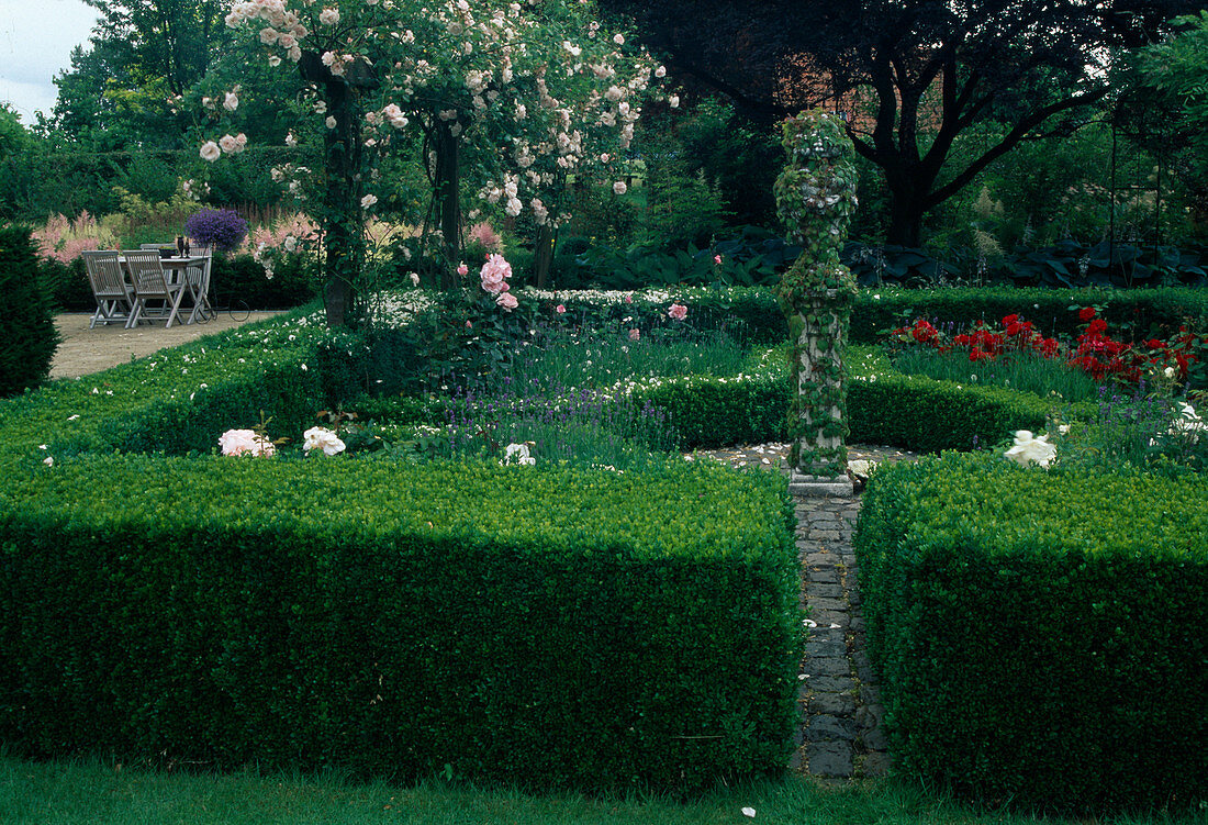 Formaler Garten mit Buxus (Buchs), Rosa 'New Dawn', 'Queen Elisabeth', 'Lily Marlene'(Rosen) und Lavendel (Lavandula)