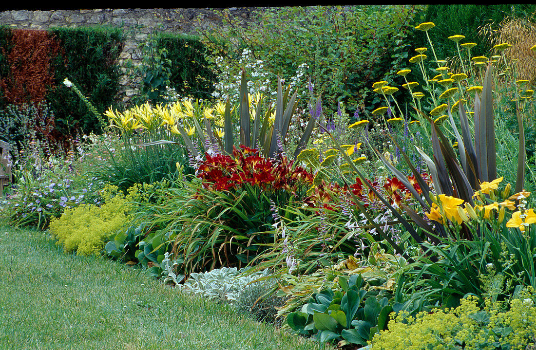 Blumenbeet: Hemerocallis-Hybr. (Taglilien), Alchemilla (Frauenmantel), Achillea (Schafgarbe), Phormium (Neuseelandflachs), Bergenia (Bergenie), Stachys byzantina (Wollziest)