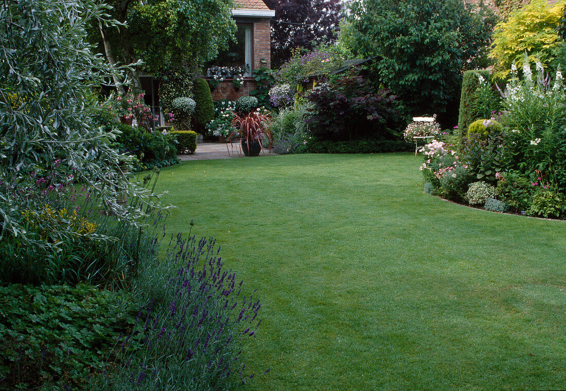 Kleiner Stadtgarten: Lavandula (Lavendel), Pyrus salicifolia 'Pendula' (Weidenblättrige Birne), Beete mit Stauden und Gehölzen, Phormium tenax im Kübel