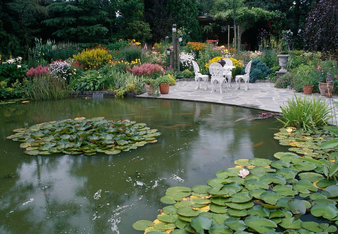 Large garden pond with Nymphaea (water lilies), colourful perennial bed with Astilbe (splendid lilies), Lysimachia punctata (golden pennywort), paved terrace with white seating area