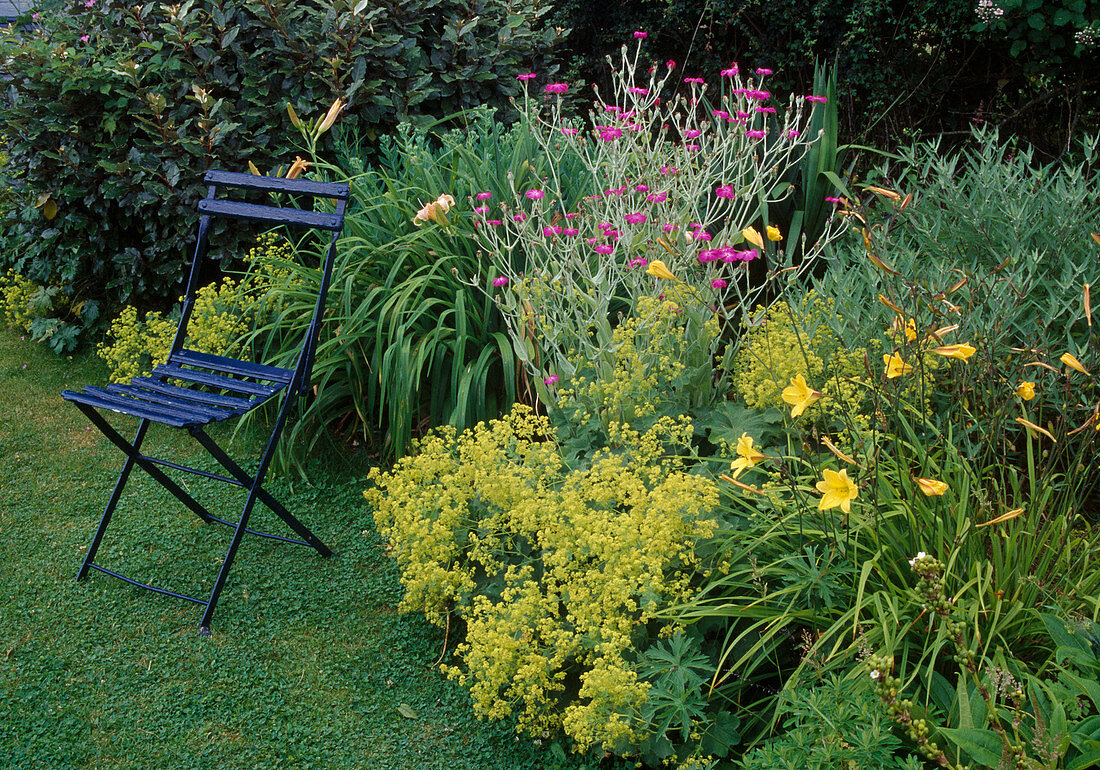 Sit by the bed, Lychnis coronaria (coneflower), Alchemilla mollis (lady's mantle) and Hemerocallis (daylilies)