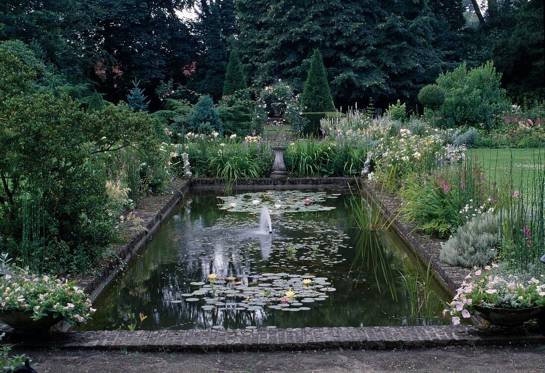 Architectural garden pond with brick border, Nymphaea (water lilies), bed with perennials, view of topiary conifers