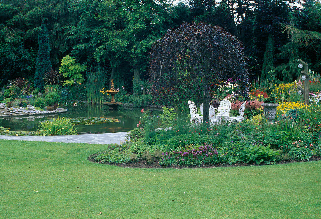 Kidney-shaped pond with marsh plants, Nymphaea (water lilies), white seating area, herbaceous border, Fagus sylvatica 'Purpurea Pendula' (hanging hornbeam)