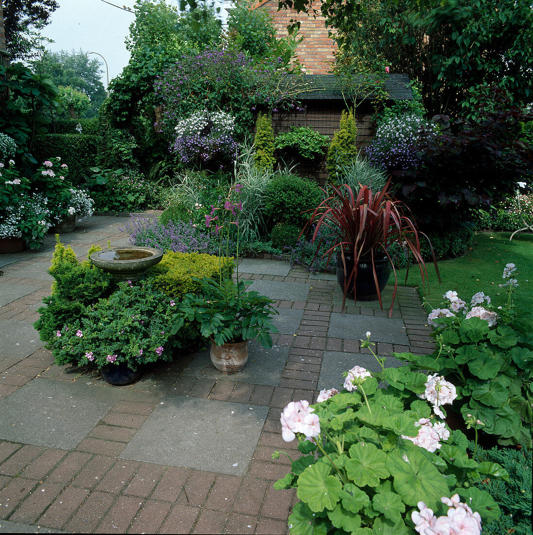 Topfgruppe mit Vogeltränke auf gepflasterter Terrasse - Pelargonium (Geranien), Phormium 'Glaucum' (Neuseelandflachs), Nepeta (Katzenminze), Taxus baccata (Eibe), Incarvillea (Staudengloxinie)