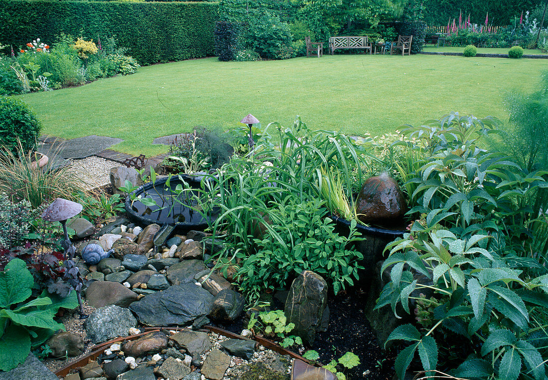 Helleborus argutifolius, Salvia officinalis, small water garden, lawn with seating area, hedge as separation