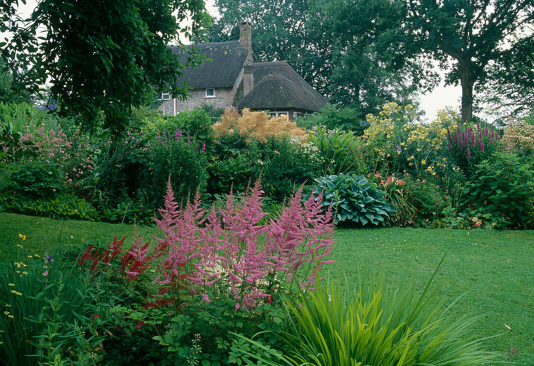 Shady perennial bed in the country house garden between large trees