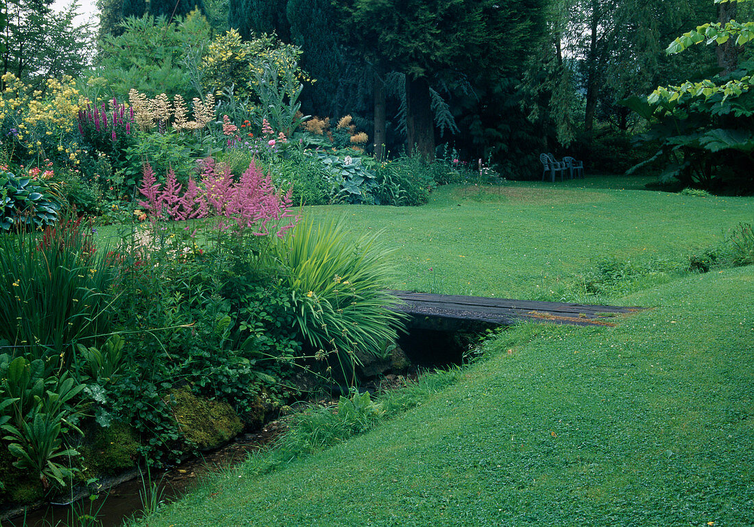 Lawn, brook with wooden footbridge, Astilbe (Prachtspiere), perennial bed with splendid perennials