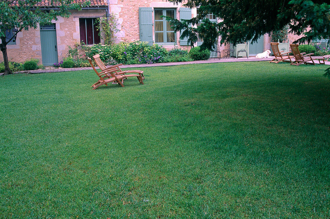 Lawn, wooden deck chairs, house in the background
