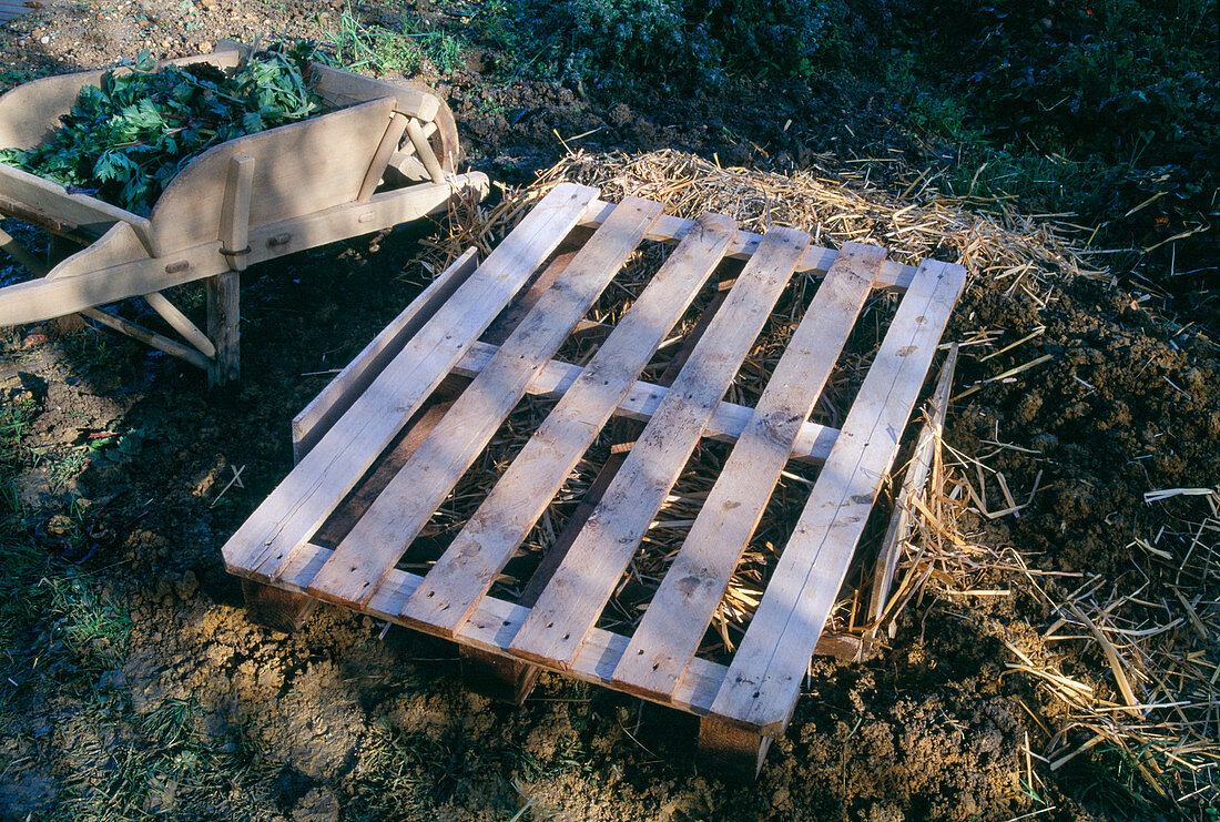 Vegetable storage in the ground 4th step: Cover with wooden lattice