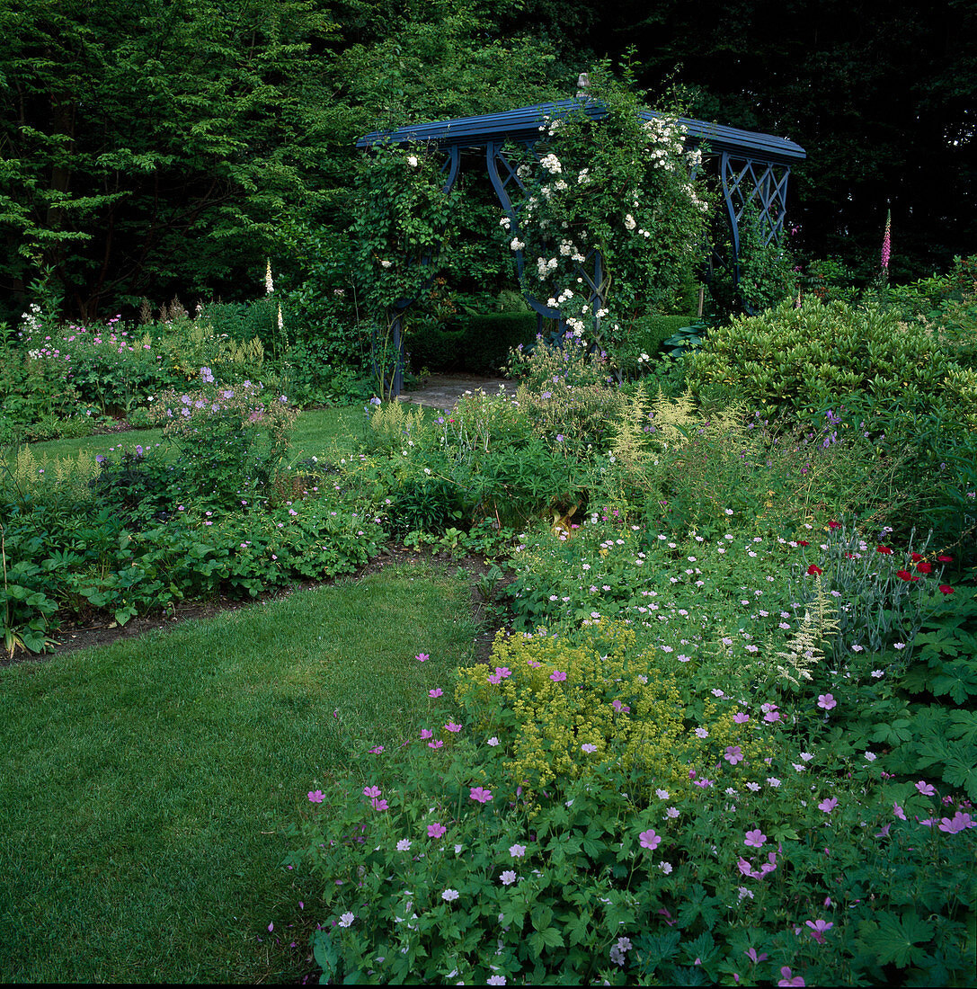 Beds with geranium (cranesbill), alchemilla mollis (lady's mantle), astilbe (ornamental lychnis), lychnis coronaria (coneflower), pavilion overgrown with Rosa 'Guirlande d'Amour' (rambler rose), frequently flowering with good fragrance