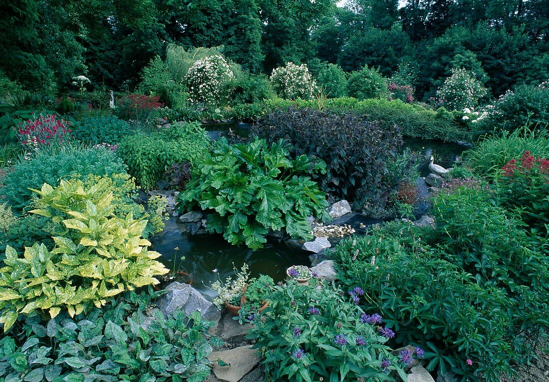 Two small garden ponds between lush perennial beds