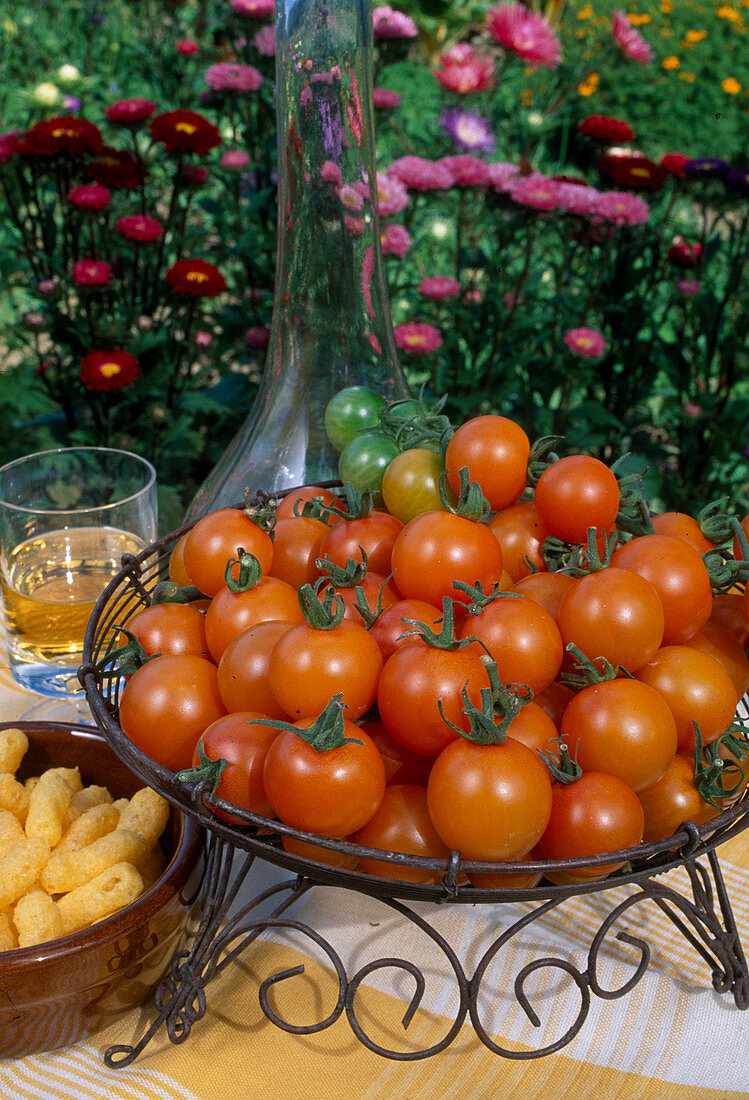 Freshly picked cocktail tomatoes (Lycopersicon) as a snack in a bowl