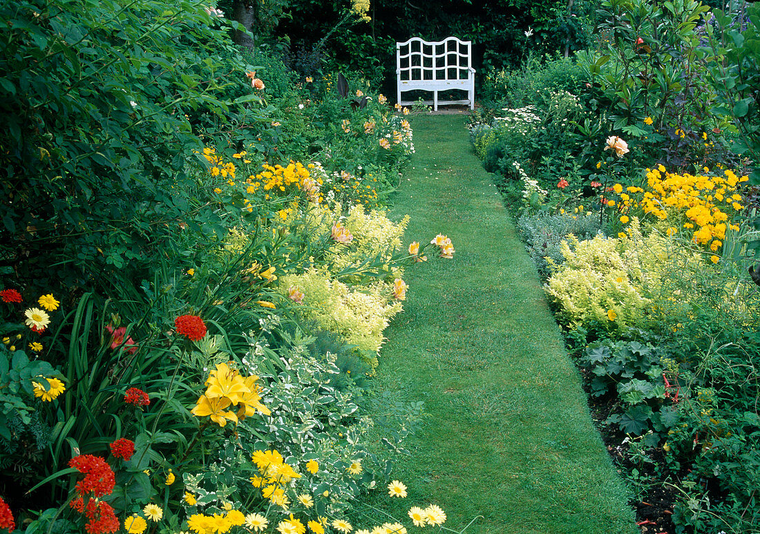 Anthemis 'E. C. Buxton' (dyer's chamomile), Mentha variegata (pineapple mint), Lilium (lilies), Origanum 'Aureum' (golden oregano), lawn path leads to white bench