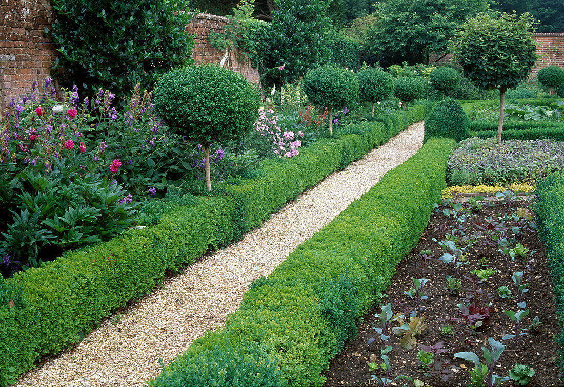 Weg durch Garten mit geschnittenem Buxus (Buchs) Stämmchen und Hecken, frisch gepflanztes Gemüsebeet, Stauden und Kräuter