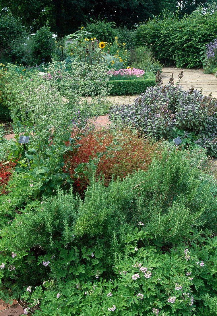 Herb garden