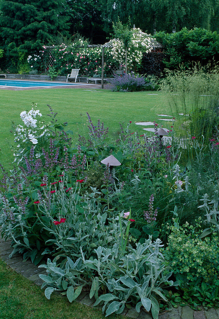 View from perennial bed with Lychnis coronaria, Stachys byzantina, Agastache anisata and grasses over lawn with stepping stones to pool area with rose pergola and deck chairs