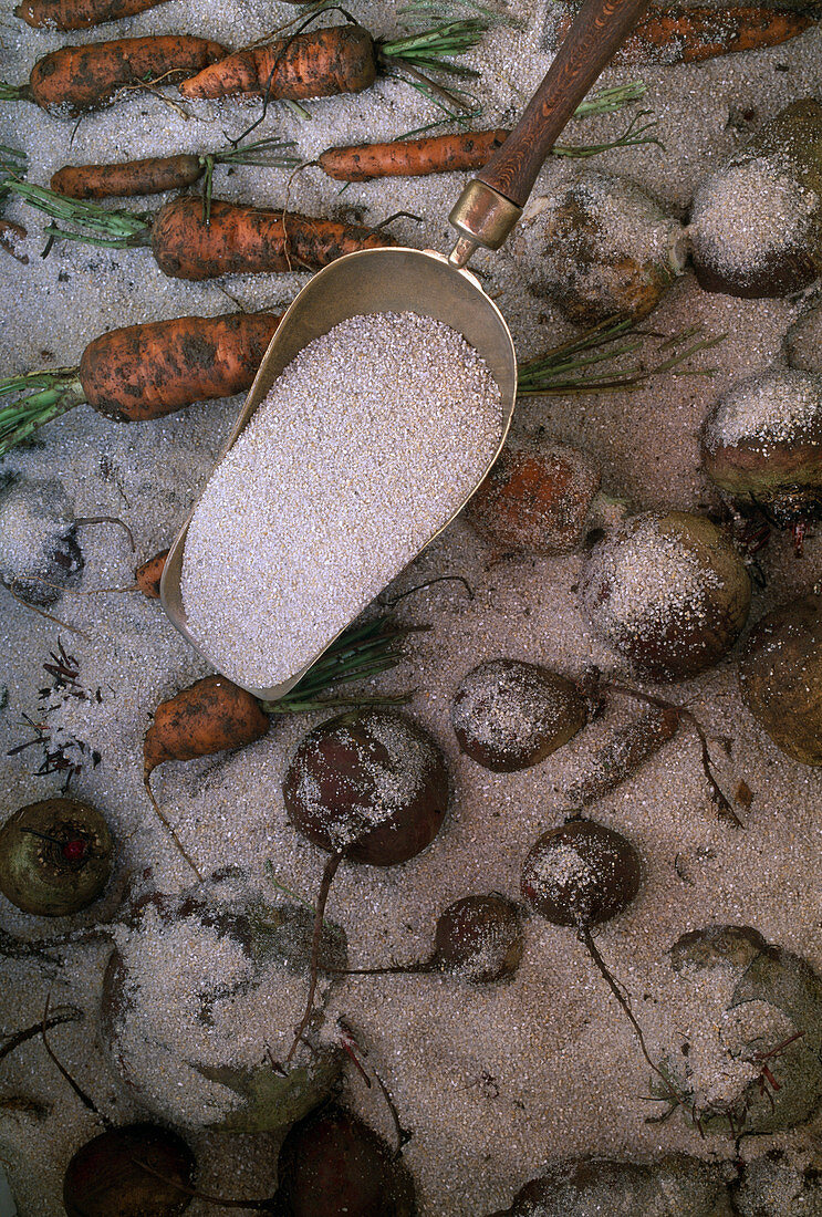 Store vegetables - Fill in wooden box of sand between individual vegetable layers