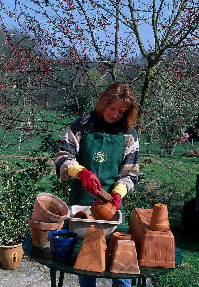 Cleaning clay pots with a brush