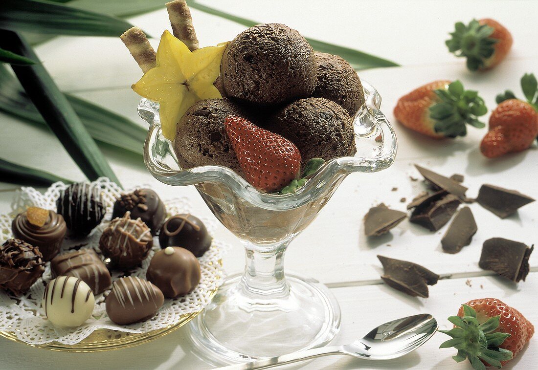 Dish of Chocolate Truffle Ice Cream with Fruit