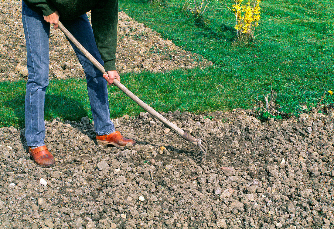 Bodenvorbereitung für Aussaat oder Pflanzen Harken