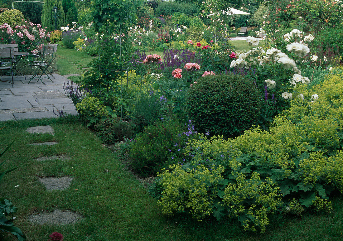 Rosengarten mit Buxus (Buchs-Kugeln) und Alchemilla (Frauenmantel), Trittsteine im Rasen, kleine Sitzgruppe auf Terrasse