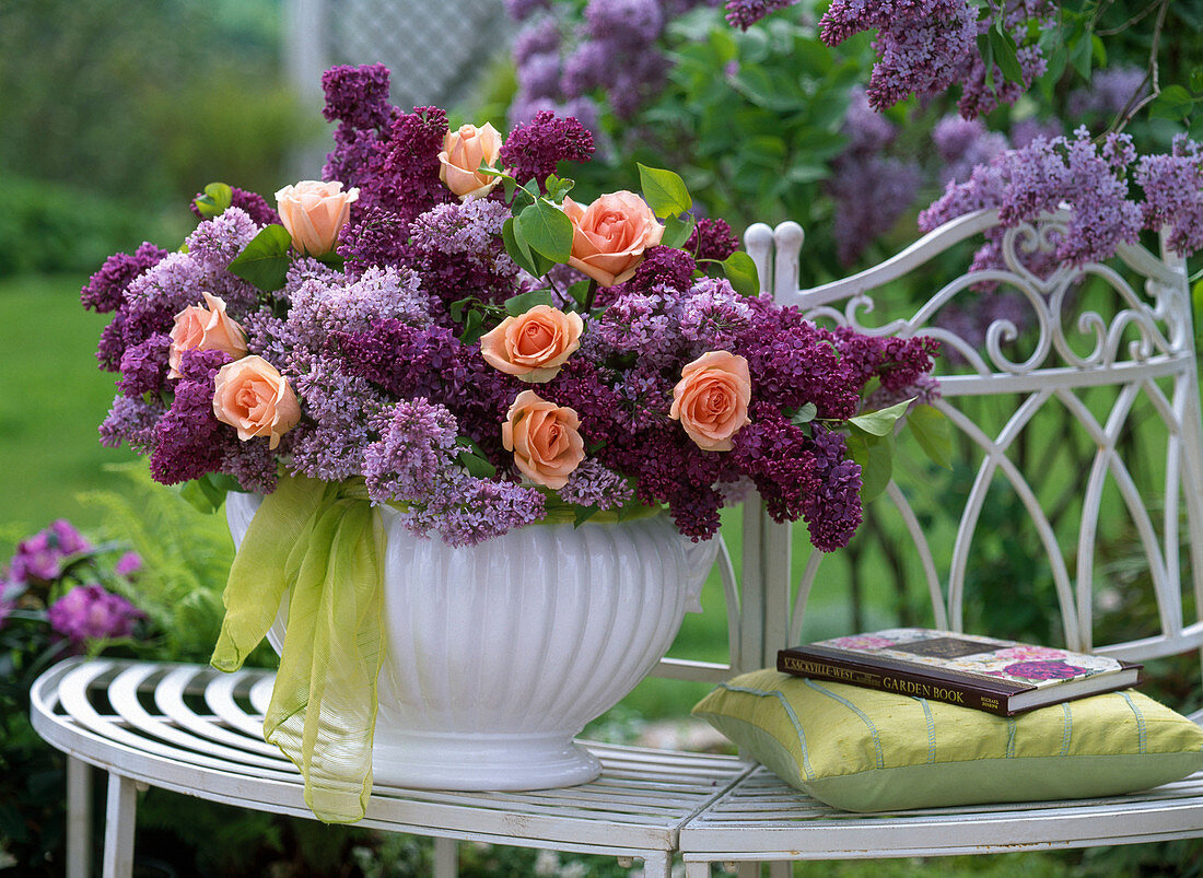 Syringa (light and dark lilac)