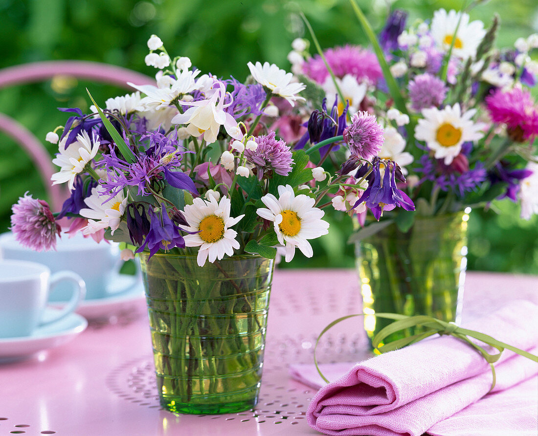 Leucanthemum (Margeriten)