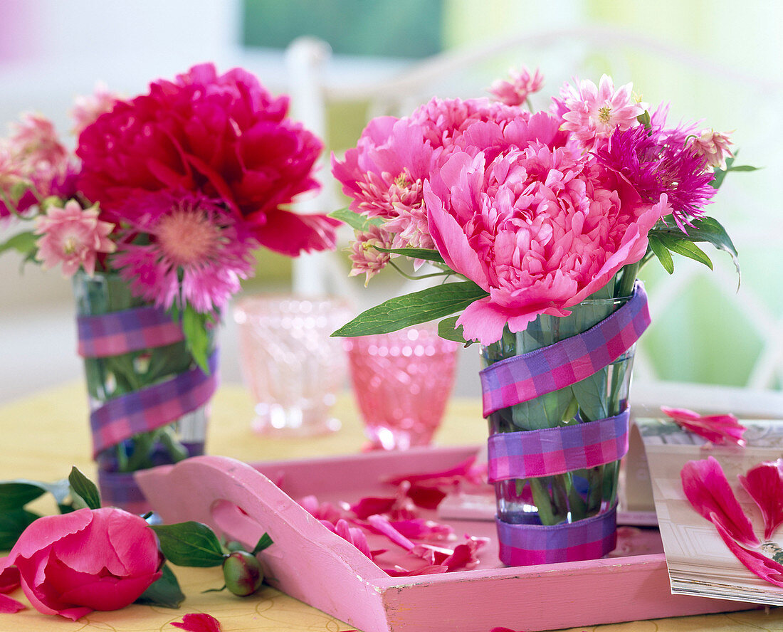 Paeonia (pink and red peonies)