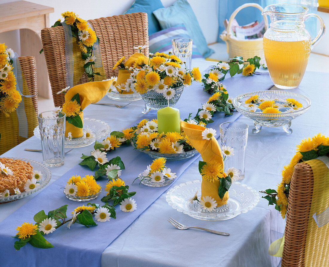 Table garland from Leucanthemum (marguerite)