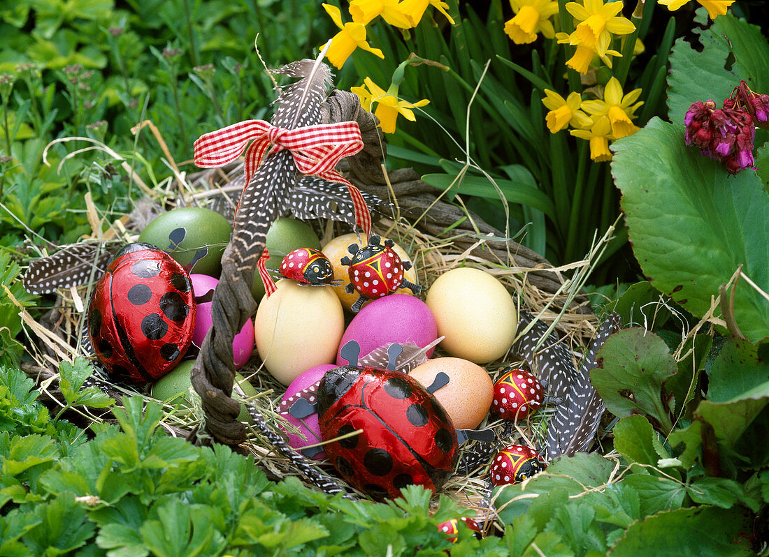 Handle basket with chocolate ladybugs