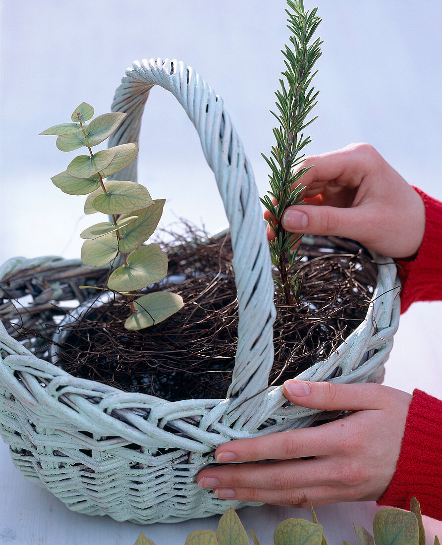 Basket with poppy seeds