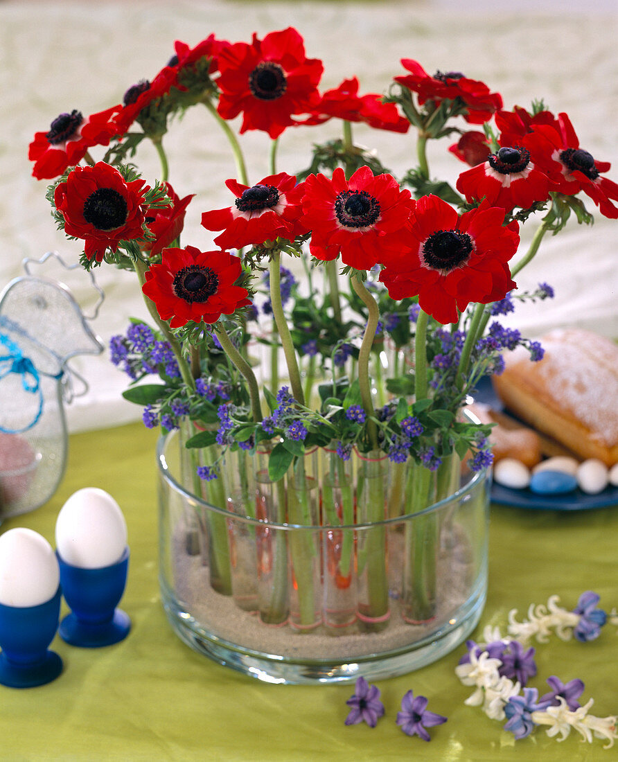 Test tube vases with anemone