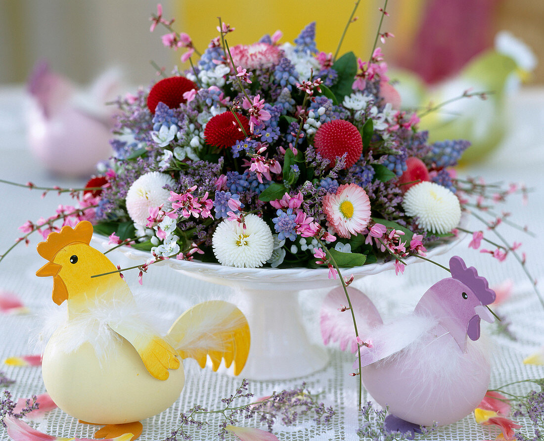 Bowl of Bellis (daisies)