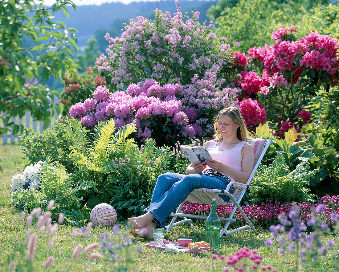 Rhododendron, Syringa (dwarf lilac)