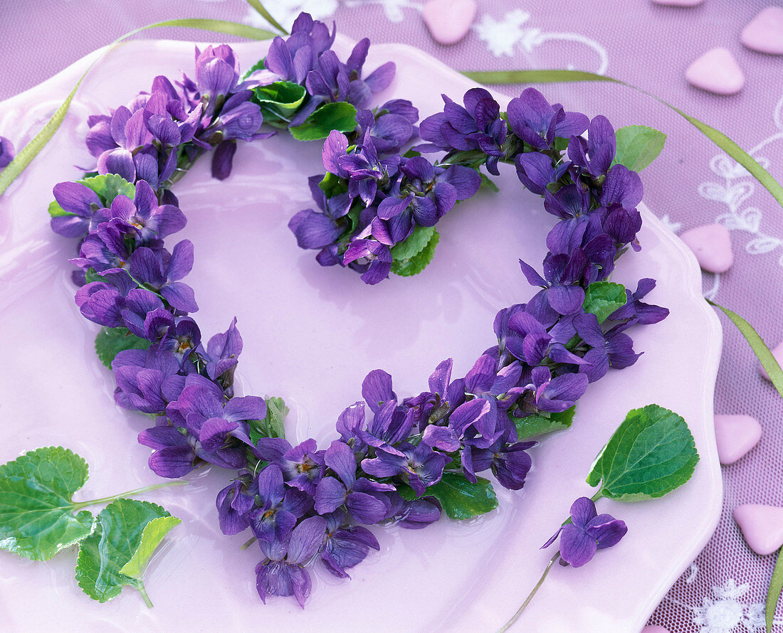 Sweet Violet heart